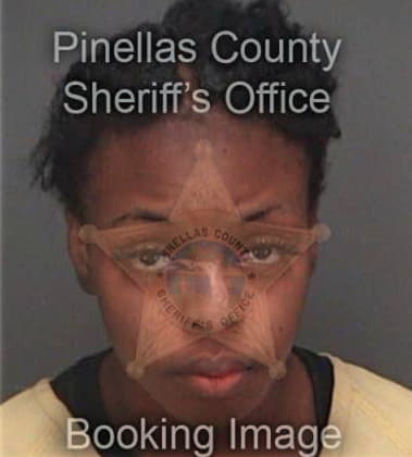 Shirelle Simmonshudson - Pinellas County, FL 