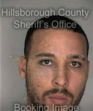 Reynaldo Barrios, - Hillsborough County, FL 