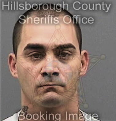 David Harburg, - Hillsborough County, FL 