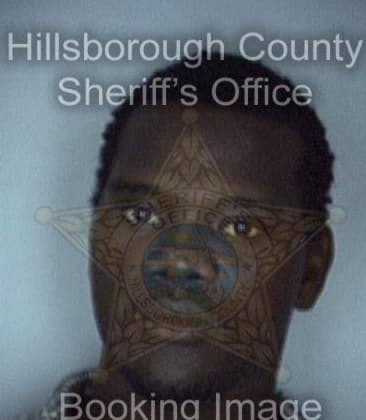 Alphonso King, - Hillsborough County, FL 