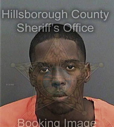 Rosier Louissaint, - Hillsborough County, FL 