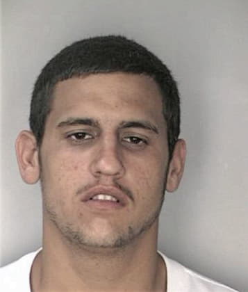 Alvaro Martinezhawkins, - Hillsborough County, FL 