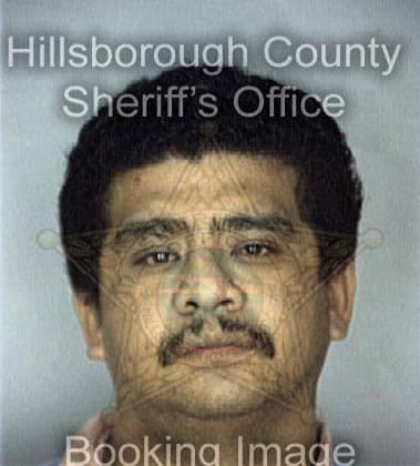 Robert Mell - Hillsborough County, FL 