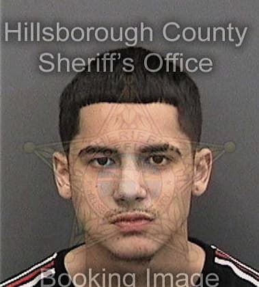 Rogelio Mendieta - Hillsborough County, FL 