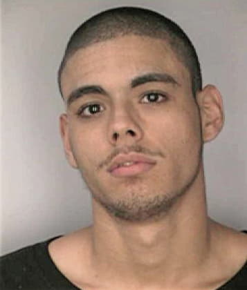 Carlos Menesessepulveda - Hillsborough County, FL 