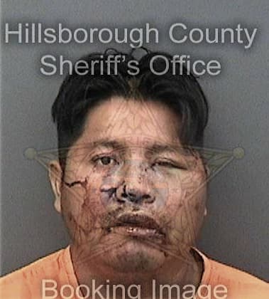 Matthew Schludt, - Hillsborough County, FL 