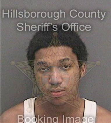 Lorenzo Ashley, - Hillsborough County, FL 