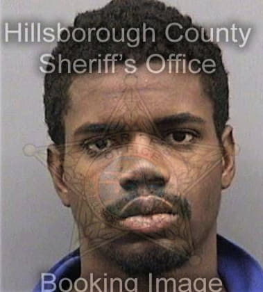 Austin Hamilton, - Hillsborough County, FL 