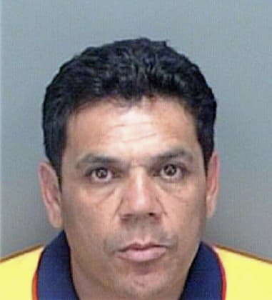 Martin Ledesma, - Pinellas County, FL 