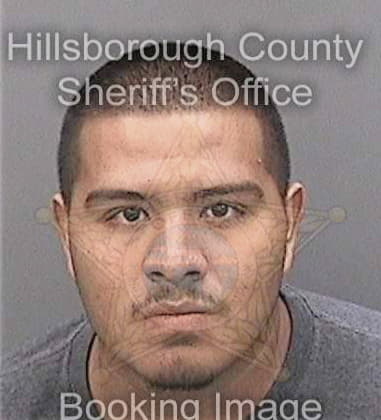 Jose Marcial, - Hillsborough County, FL 