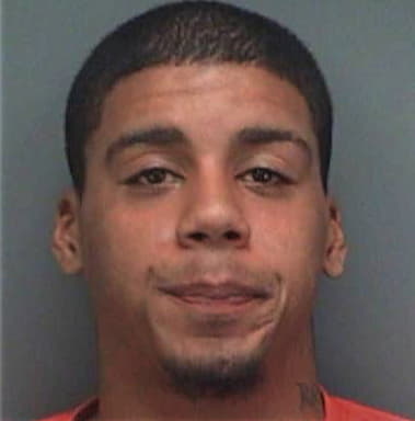 Fernando Penazelaya, - Pinellas County, FL 