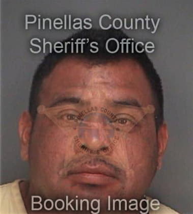 Jose Roserotorres, - Pinellas County, FL 