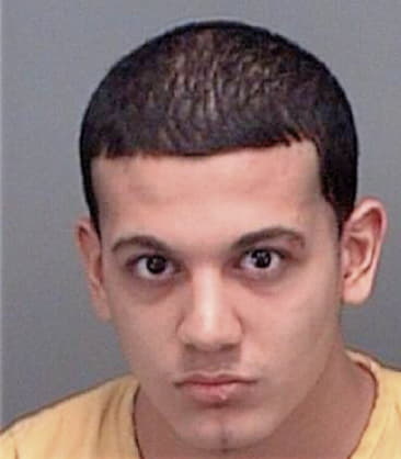 Carlos Gonzalez, - Pinellas County, FL 