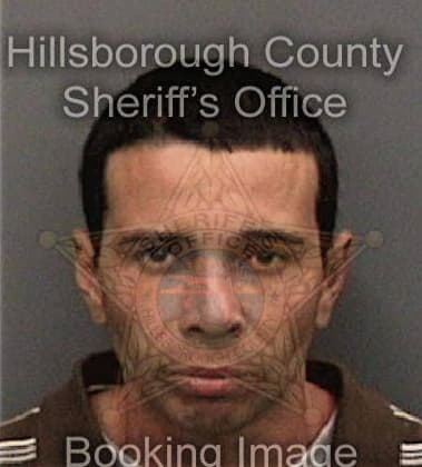 Richard Longenette, - Hillsborough County, FL 