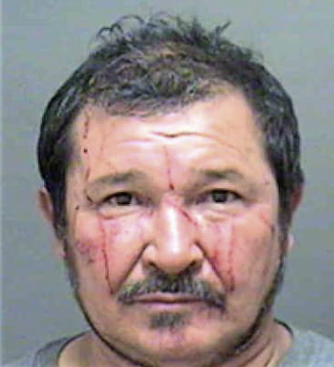 Homero Diaz-Lizano, - Mecklenburg County, NC 