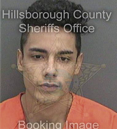 Daniel Harden, - Hillsborough County, FL 