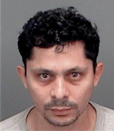 Adrian Delgado, - Pinellas County, FL 