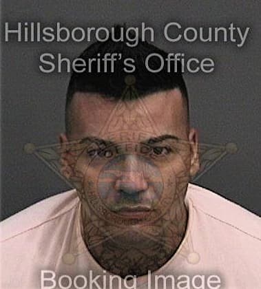Jose Gonzalezmartinez - Hillsborough County, FL 