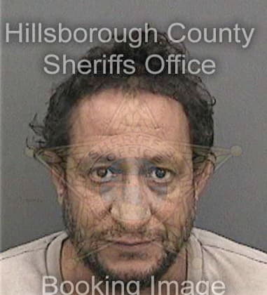 Servando Mirabalmique - Hillsborough County, FL 