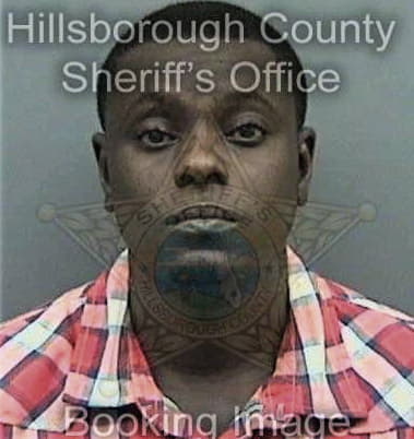 Nathaniel Mitchell - Hillsborough County, FL 
