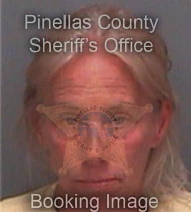 Amber Pokladnik, - Pinellas County, FL 