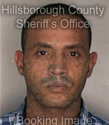 Matthew Posada, - Hillsborough County, FL 