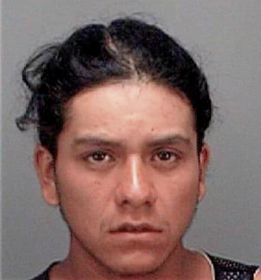 Flavio Velazquez, - Pinellas County, FL 