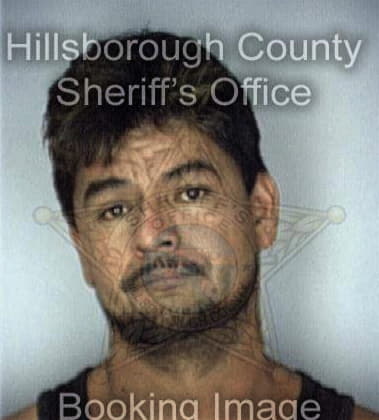 Bruce Bisset - Hillsborough County, FL 