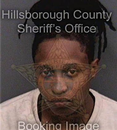 Cherrelle Burroughs, - Hillsborough County, FL 