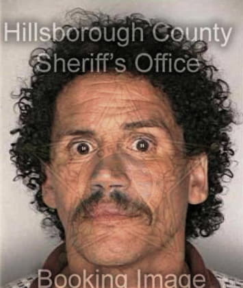 Michael McCaskey - Hillsborough County, FL 