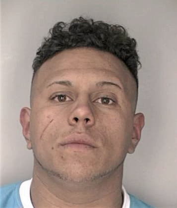 Luis Mendes - Hillsborough County, FL 