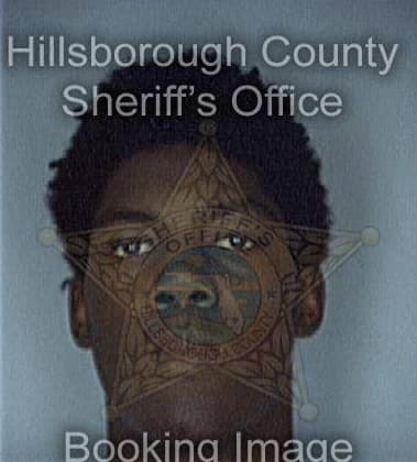 Craig Robinson - Hillsborough County, FL 