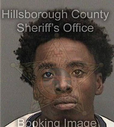 Terrance Small, - Hillsborough County, FL 