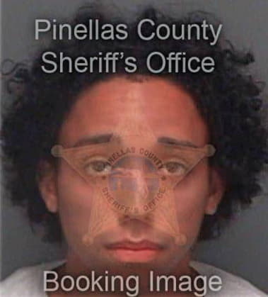 Jan Drimal, - Pinellas County, FL 