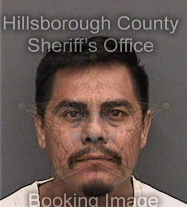 Nicholas Mendoza - Hillsborough County, FL 