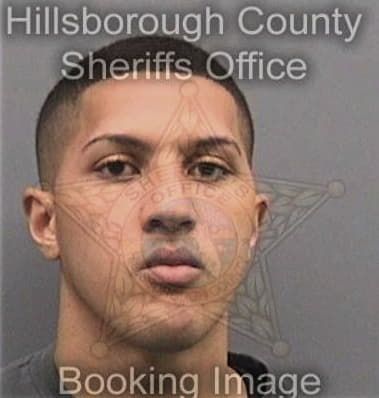David Mitchell - Hillsborough County, FL 