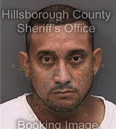 David Palacios, - Hillsborough County, FL 