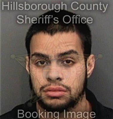 Abdiel Pizarro, - Hillsborough County, FL 