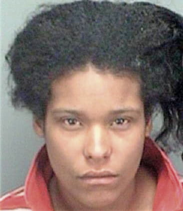 Vista Snowden - Pinellas County, FL 