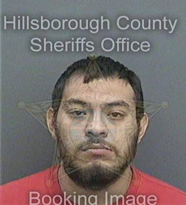 Timothy Tutini, - Hillsborough County, FL 