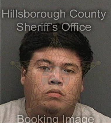 Timothy Angelini, - Hillsborough County, FL 