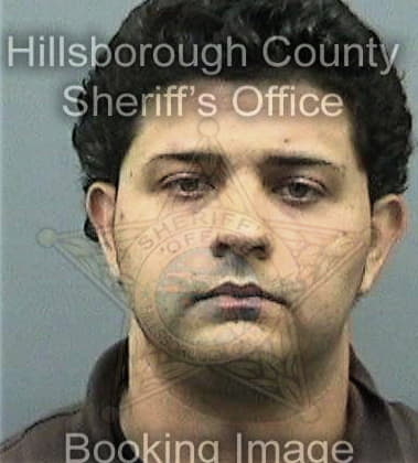 Walter Dollins, - Hillsborough County, FL 