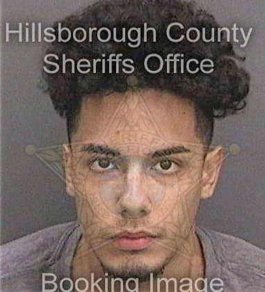 Michael Golden, - Hillsborough County, FL 