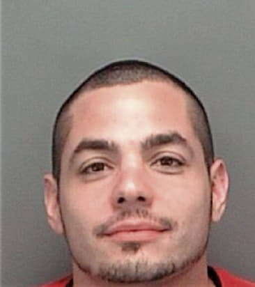 Manuel Morenoavalos, - Pinellas County, FL 