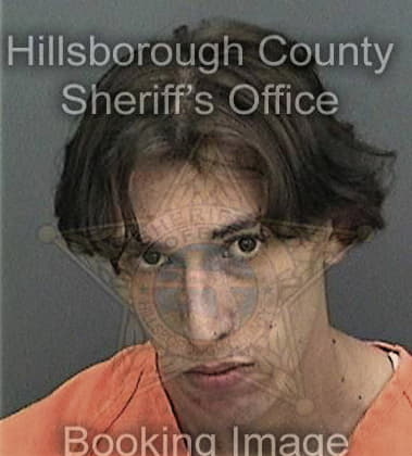 Ronald Novarro, - Hillsborough County, FL 