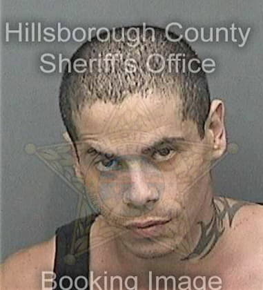 Hector Cazares, - Hillsborough County, FL 