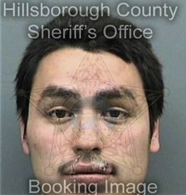 Albert Lizarralde, - Hillsborough County, FL 