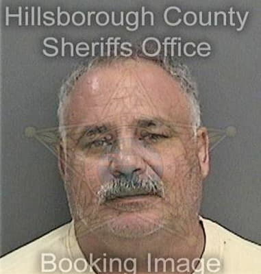 Alexandre Oliva, - Hillsborough County, FL 