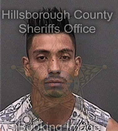 Dennis Vesey, - Hillsborough County, FL 