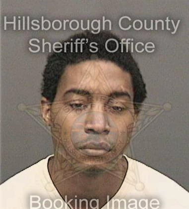 Lamar Williams, - Hillsborough County, FL 